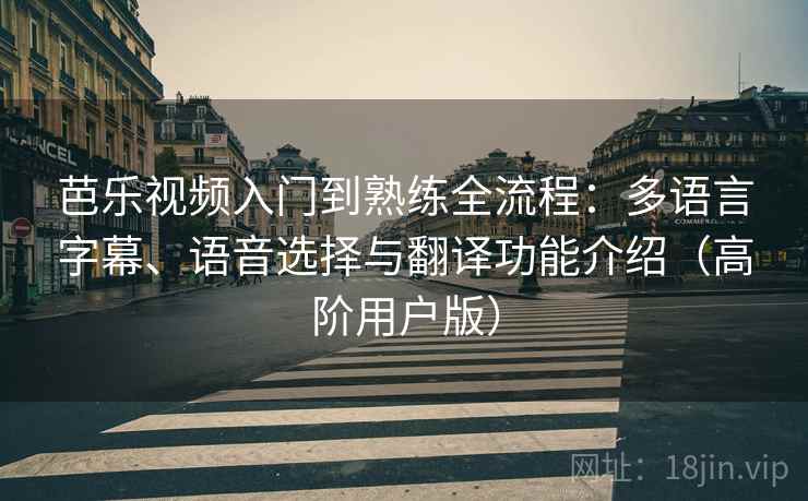 芭乐视频入门到熟练全流程:多语言字幕、语音选择与翻译功能介绍(高阶用户版) 芭乐视频入门到熟练全流程:多语言字幕、语音选择与翻译功能介绍(高阶用户版)